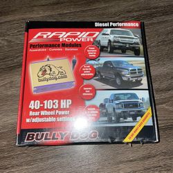Bullydog Rapid Power 41068