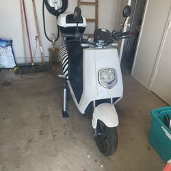 Scooter Zebra Electric 