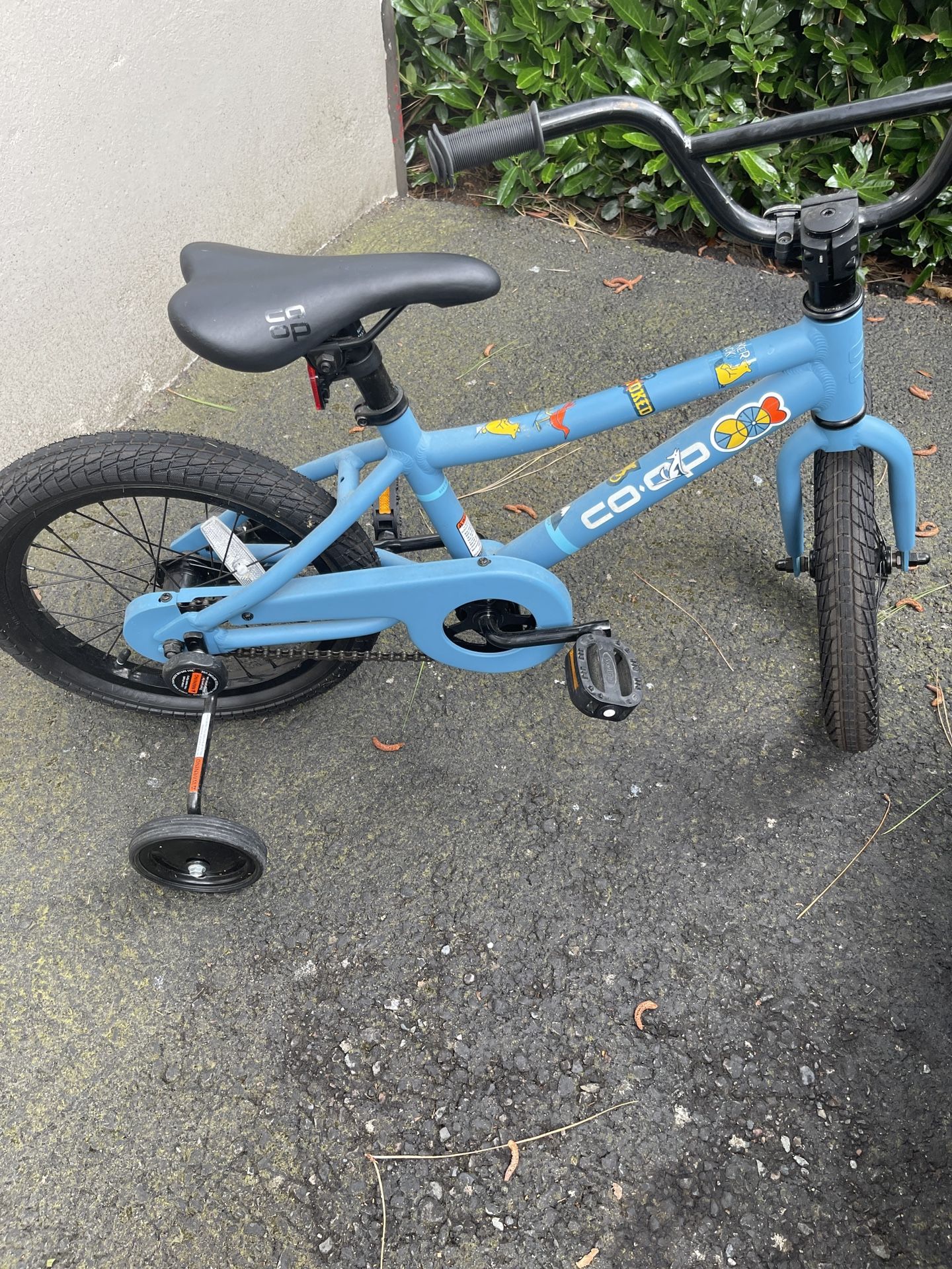 REI Co-Op REV 16 Kids Bike