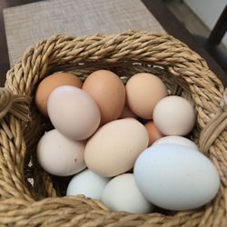 Fresh Farm Eggs - $8