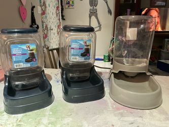 Pet Bowls
