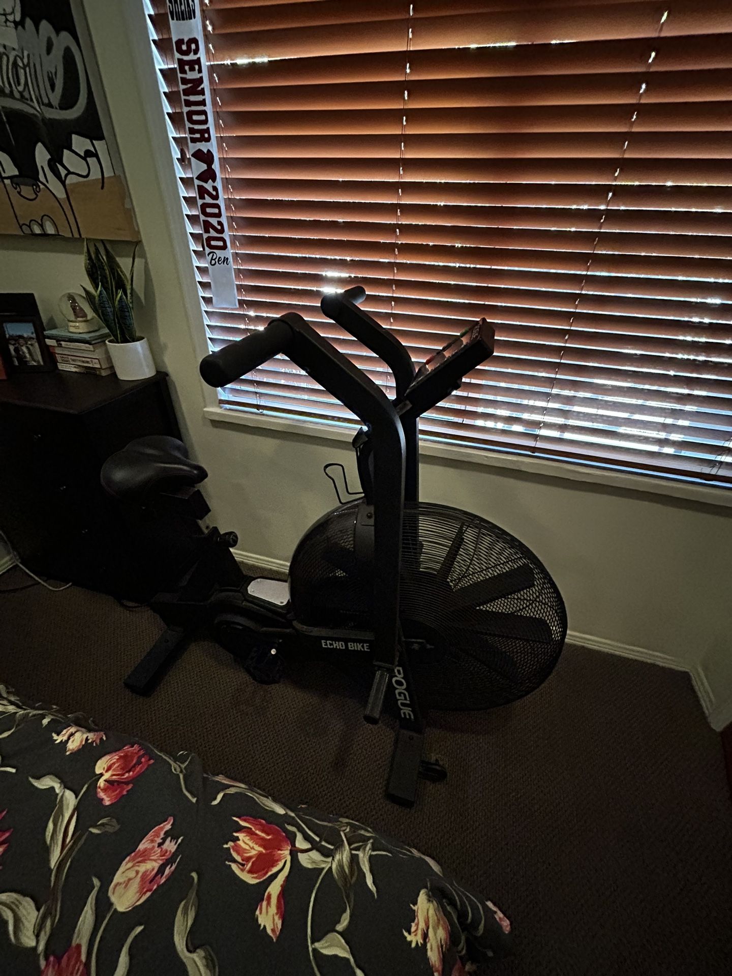 ROGUE ECHO BIKE V2.0 Like New