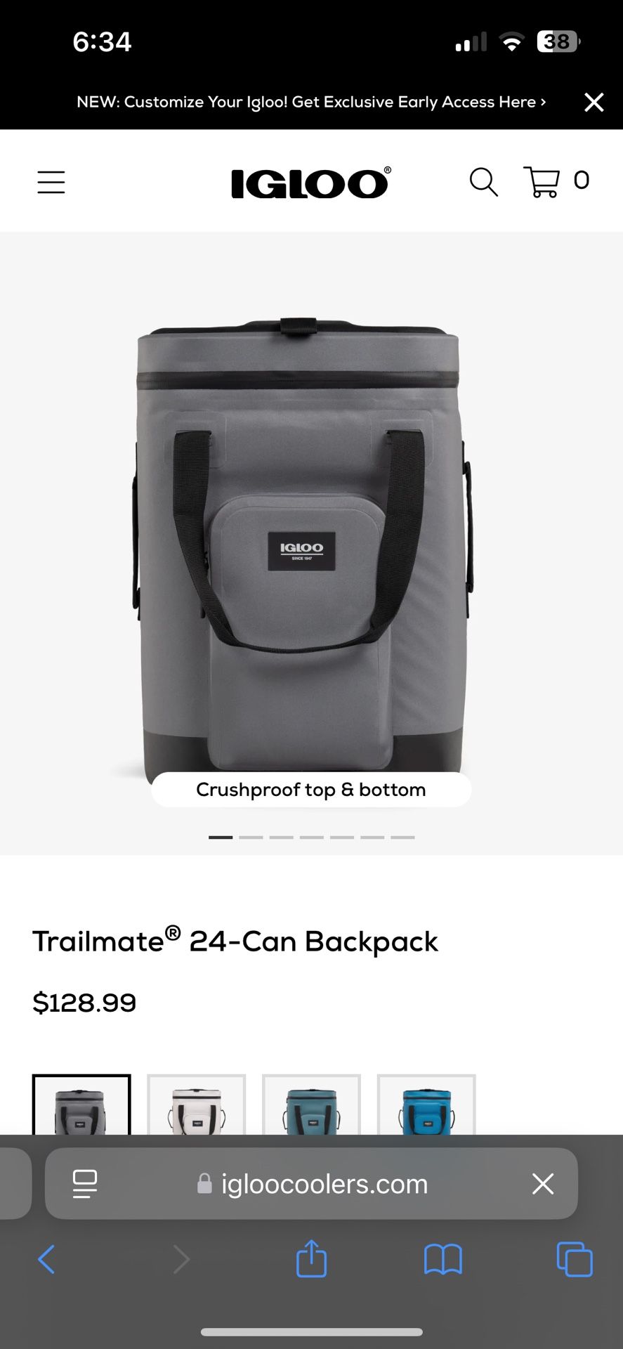 Igloo Cooler Backpack