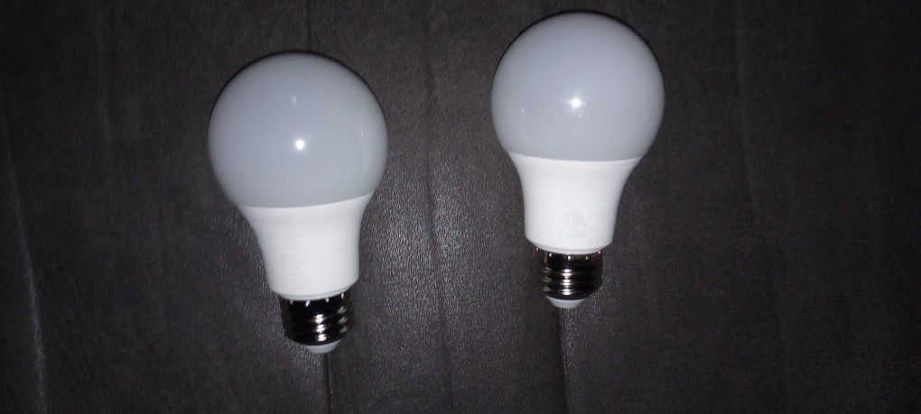 2 Led Light Bulbs