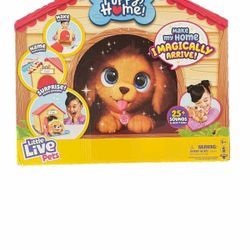 My Puppy's Home Interactive Puppy and Kennel Toy – 25+ Sounds & Reactions – New