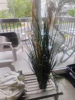 Artificial plant pickup only cash