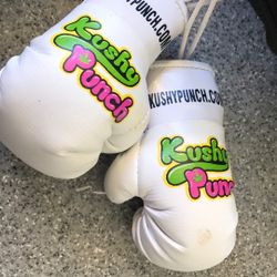 Mini Boxing Gloves 