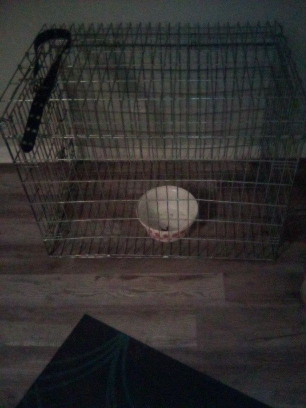 Large Dog Cage