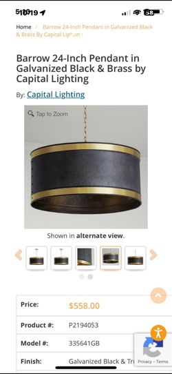 24” Barrow Pendent light with bulbs.