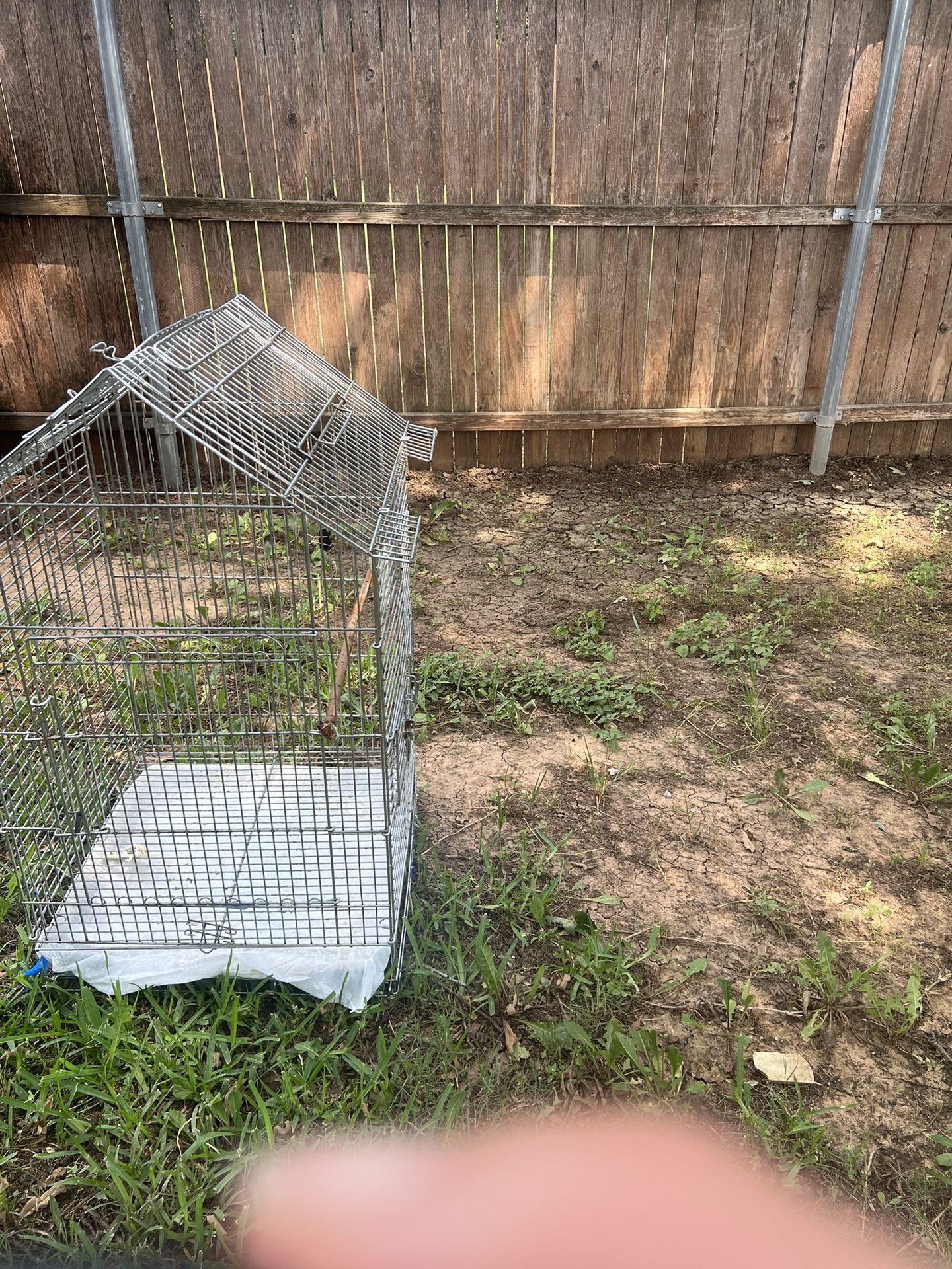 Bird cage