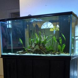 120 Gallon Oceanic Aquarium 