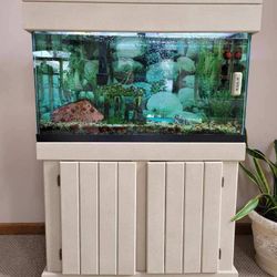 Fish Tank Stand