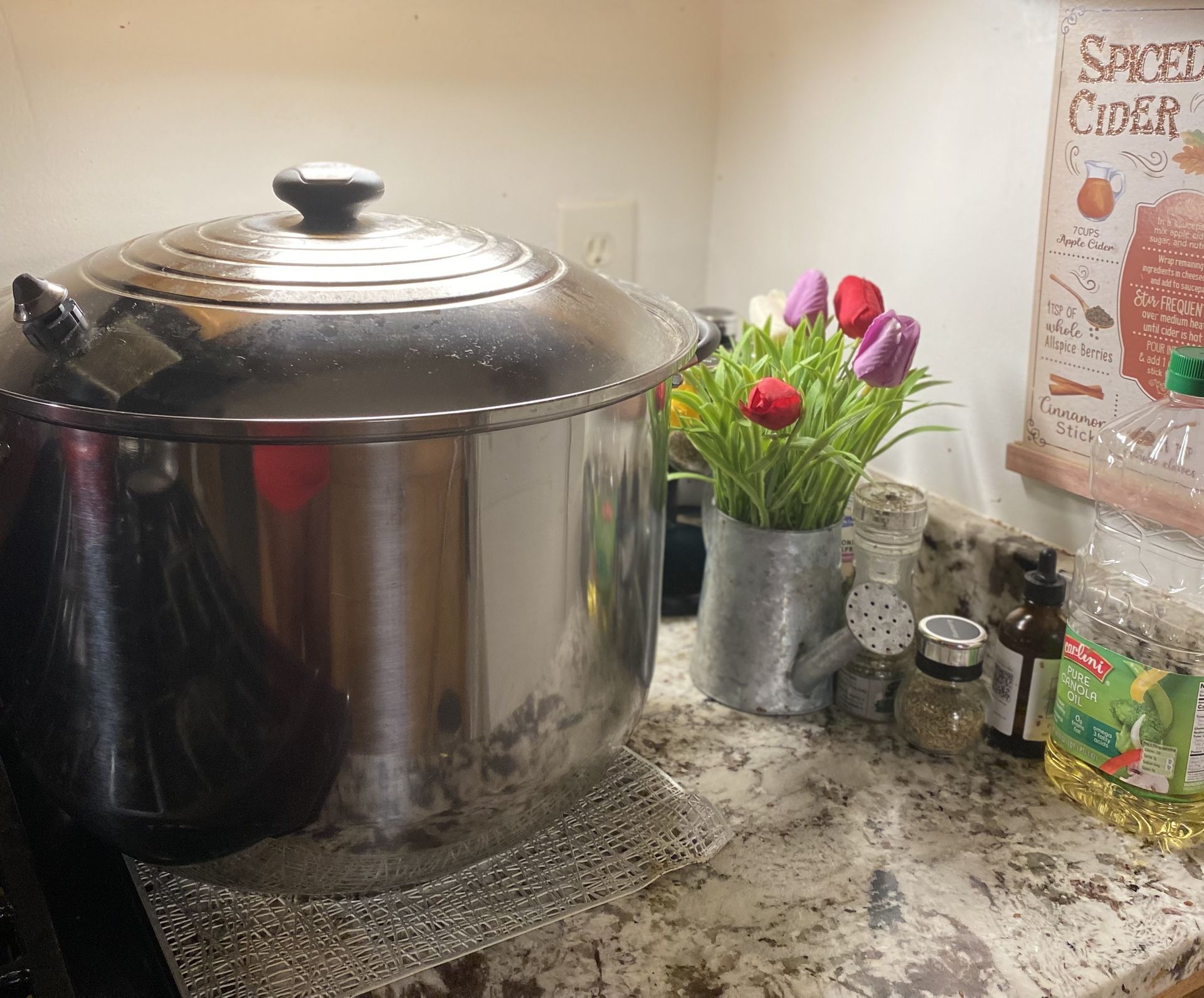 Royal Prestige 30qt Stainless Steel Pot