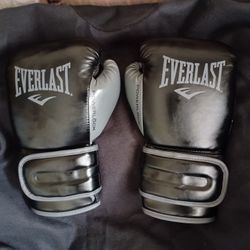 Everlast PowerLock 2