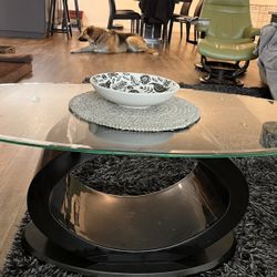 Modern Coffee Table 