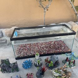 20 Gallon Fish Tank And Accessories
