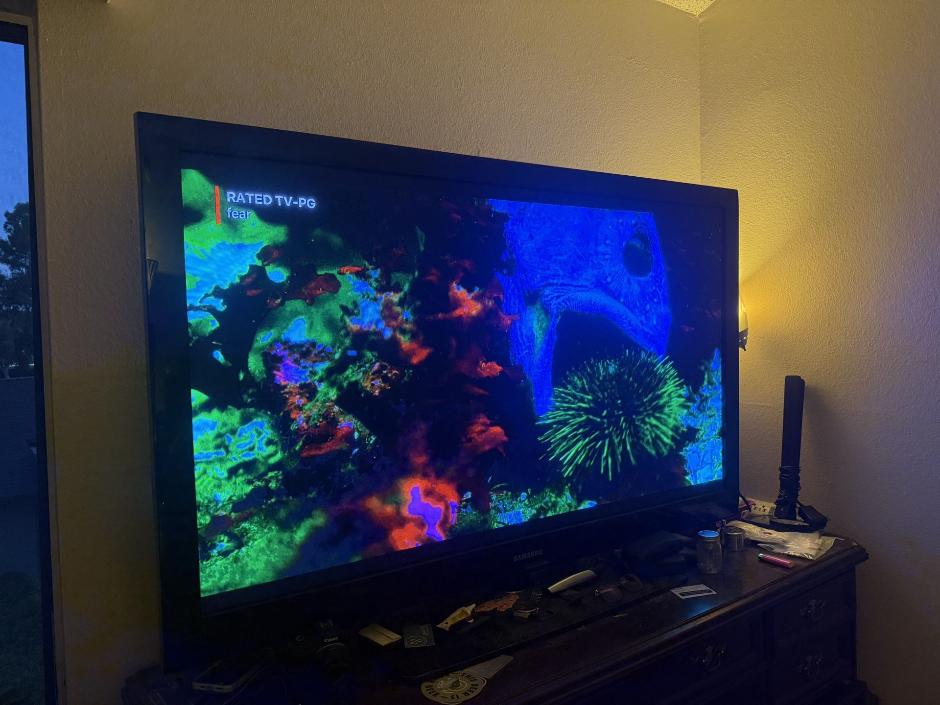 65 Inch Samsung TV
