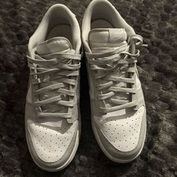 Grey Nike Dunk Lows