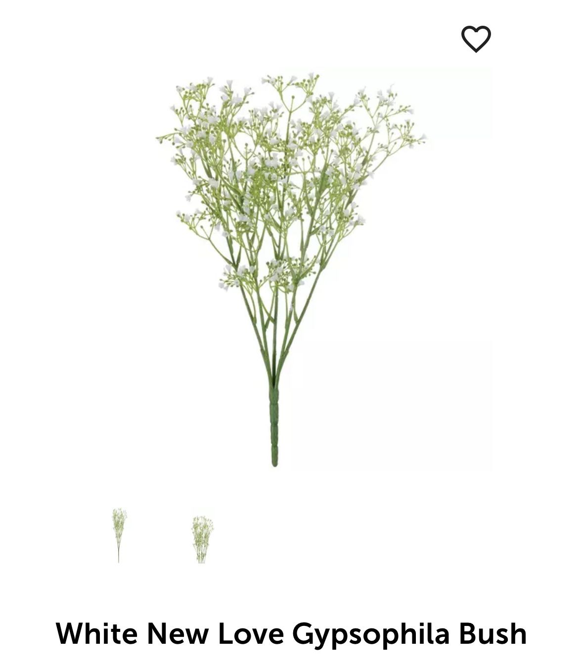 White New Love Gypsophila