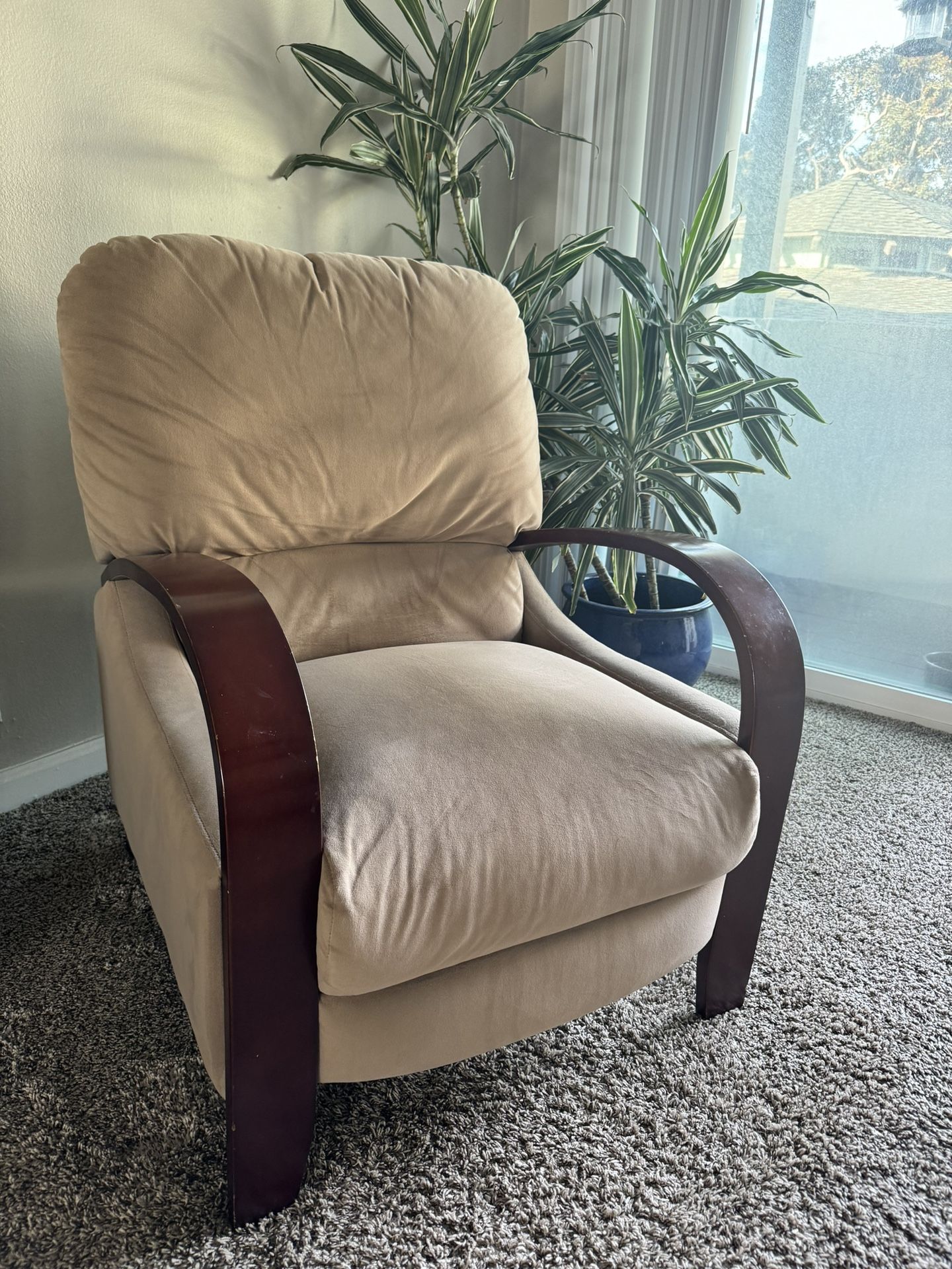 Comfortable Reclining Chair