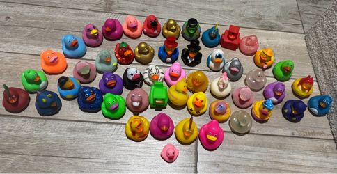 51 rubber ducks