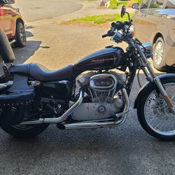2005 HD Sportster Xl833 Custom