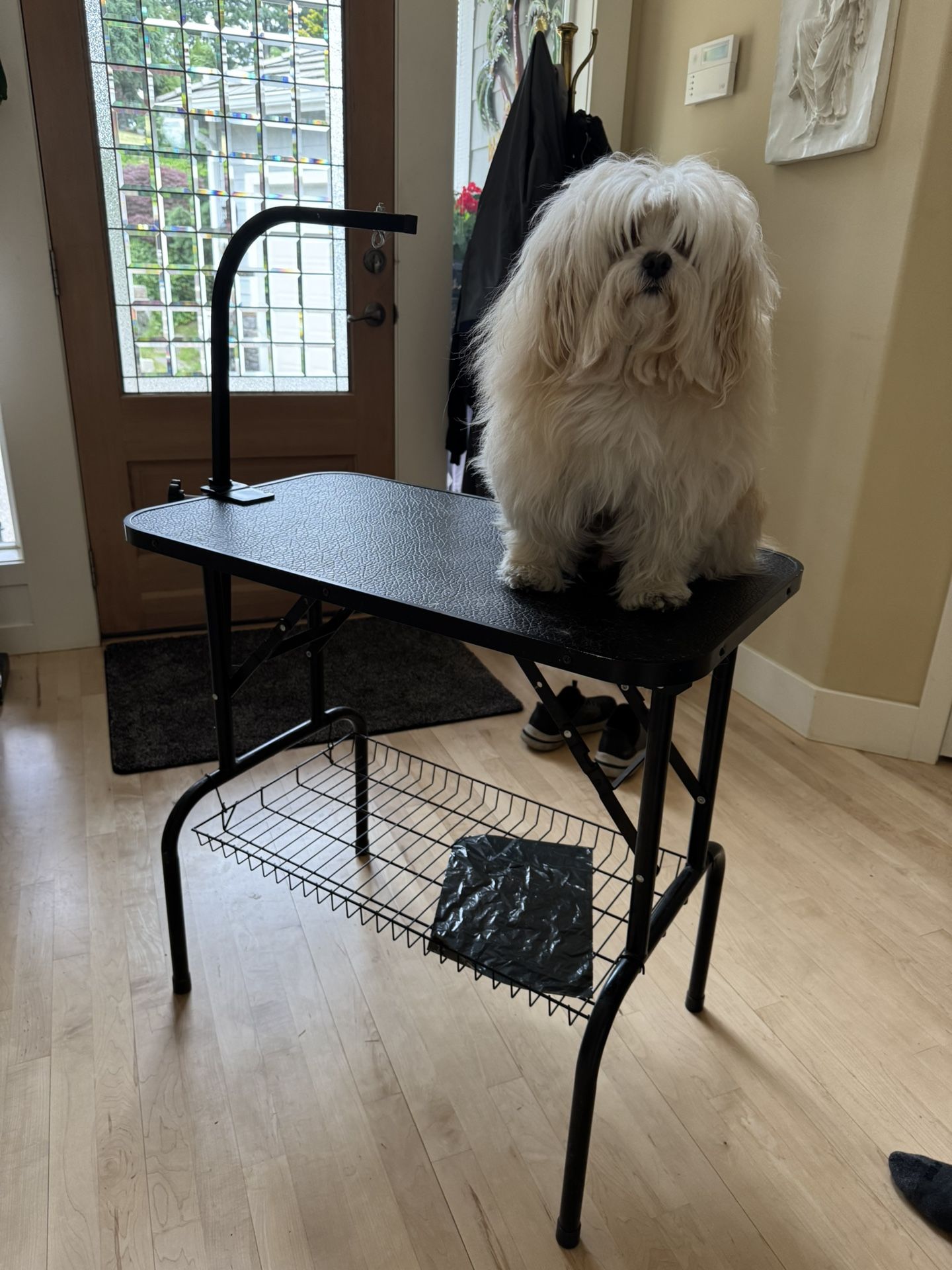 Foldable Pet Grooming Table