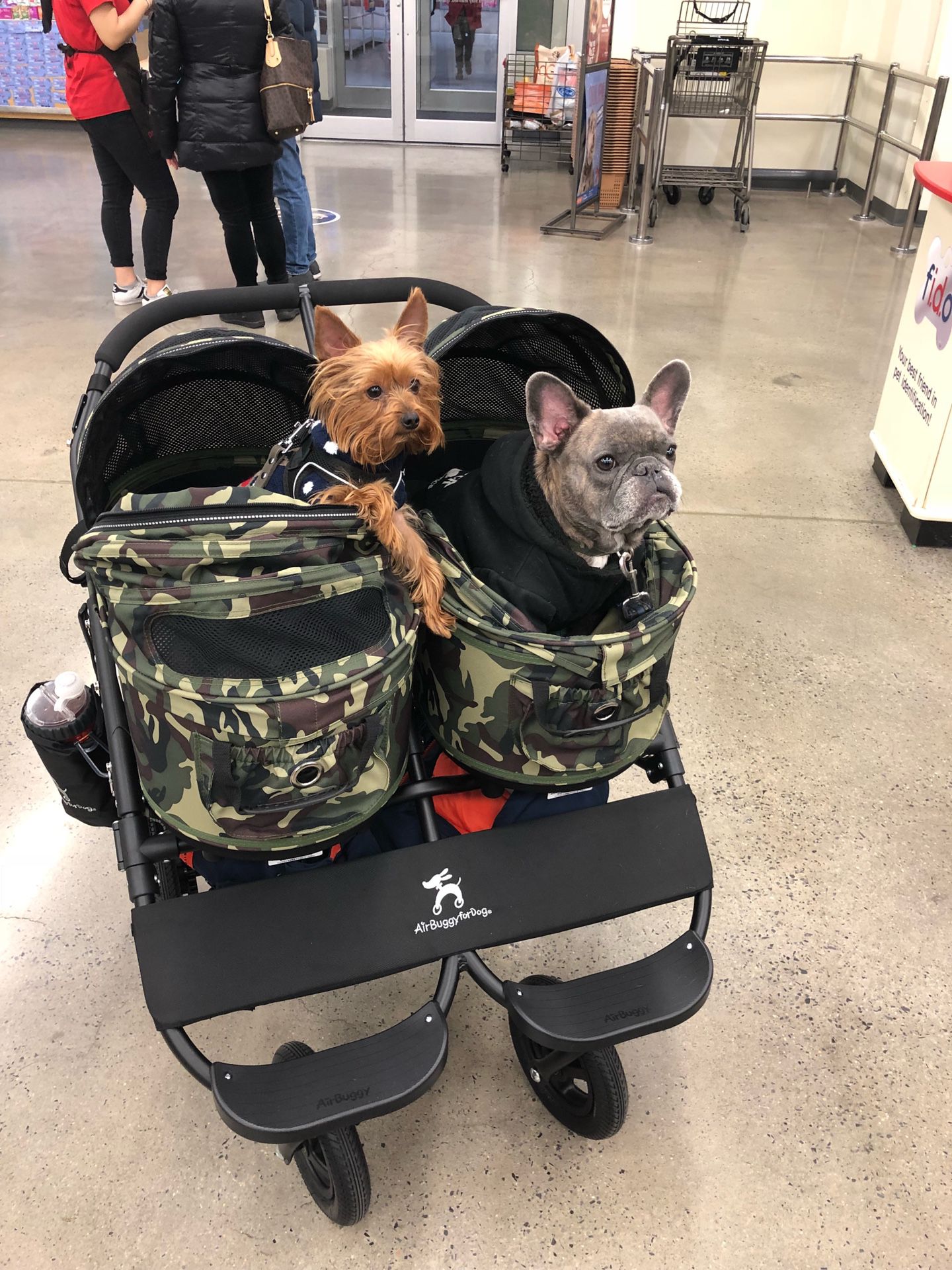 Dog double stroller