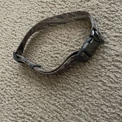 Xtra Large Dog Collar