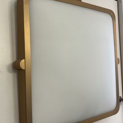 Led Light Demo 50% Off 