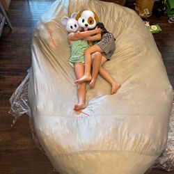 Huge Bean Bag