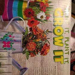 Paint plant and grow it kit