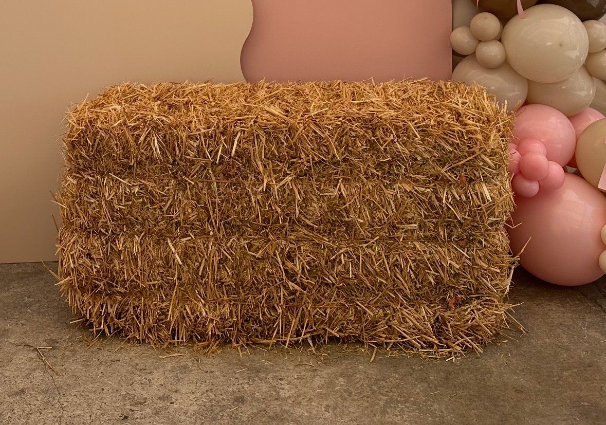 Horse Dried Hay