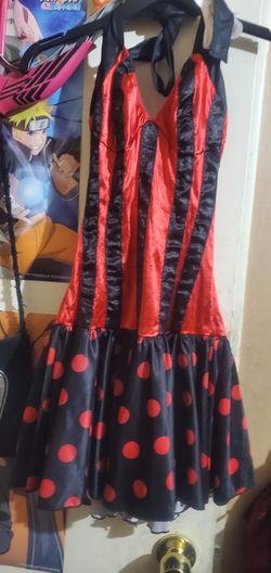 Lady Bug 🐞 Costume 