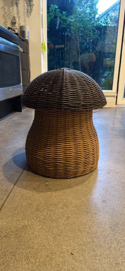 Mushroom storage basket