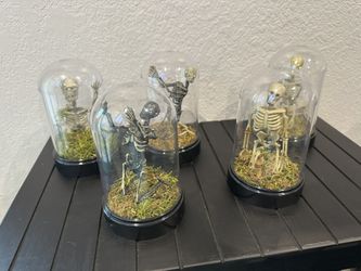 Custom Skeletons In Moss In A Plastic Dome