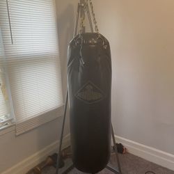 Century Boxing Bag W/ Stand Great Shape!