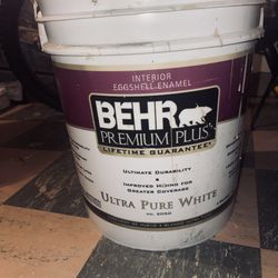 Behr 5 Gal almost Full Beige/Tan