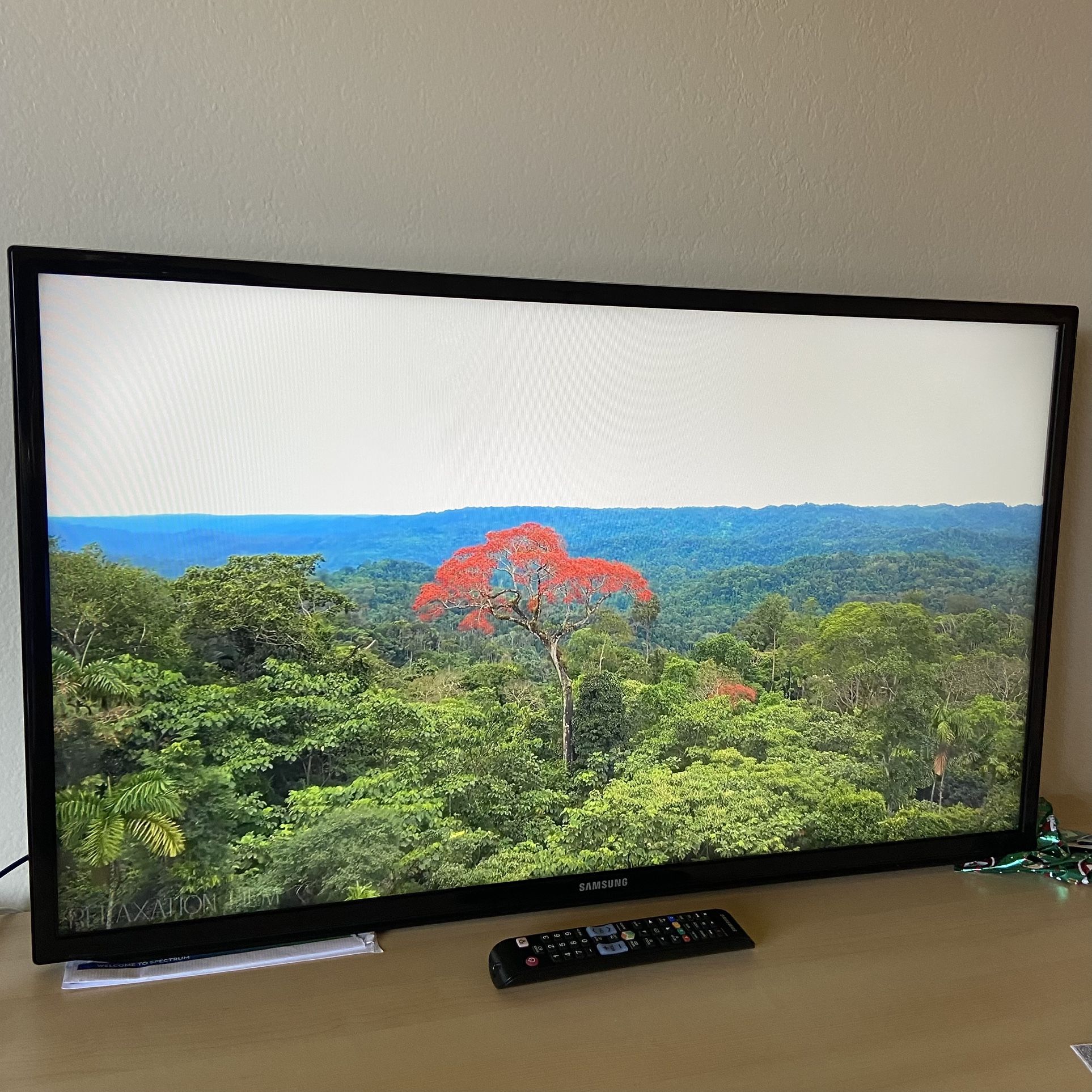 Samsung TV 40 Inch