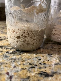 Organic Sourdough starter!