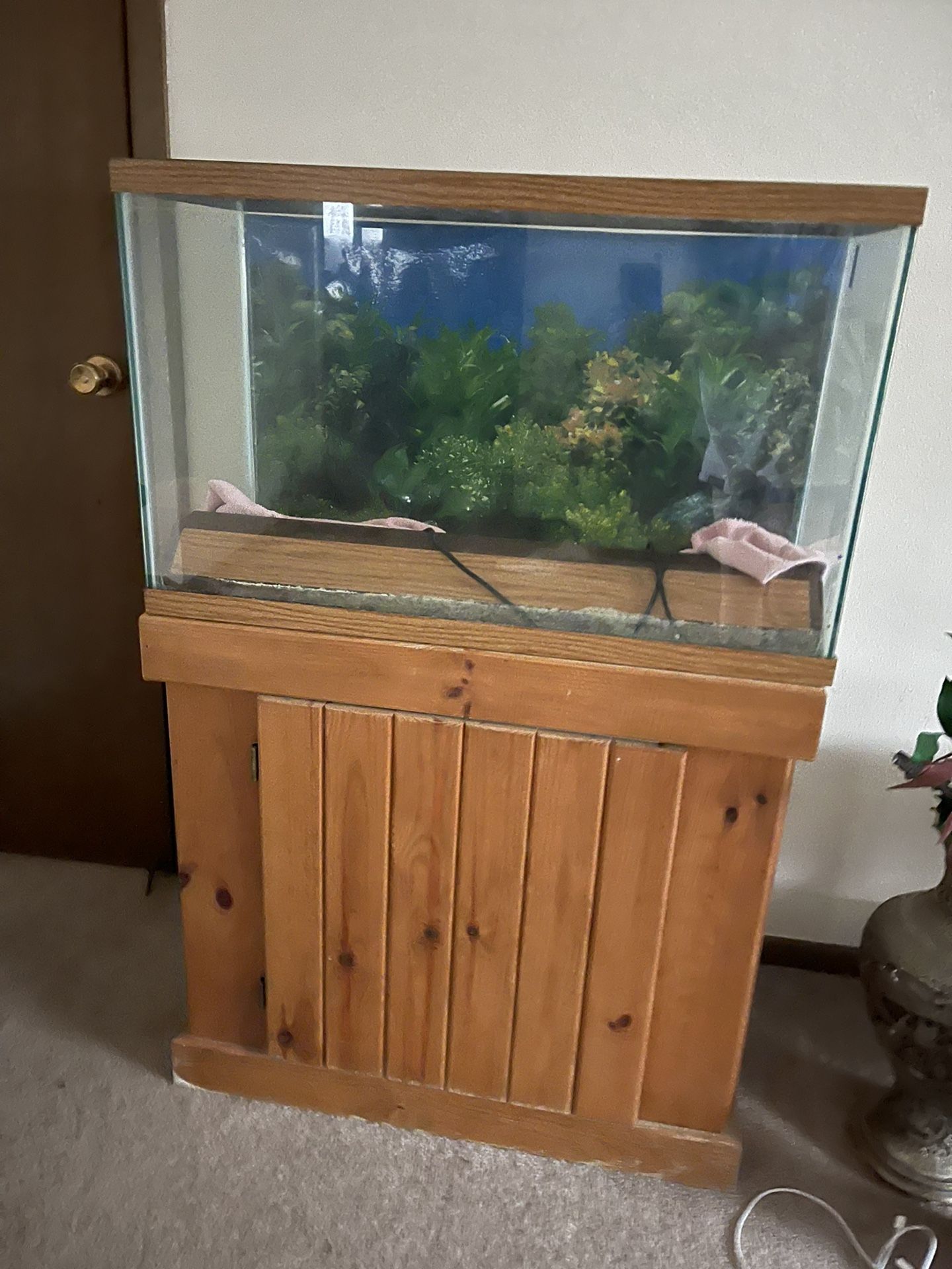 40 Gallon fish tank with stand 