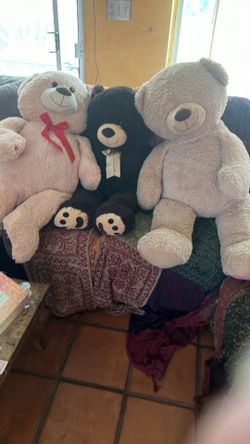 Bears for sale!