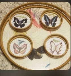 Brand new beautiful butterfly 🦋  4 glasses and coasters and tray.