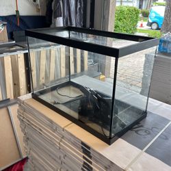 20 Gallon Fish Tank/w Filter And Light