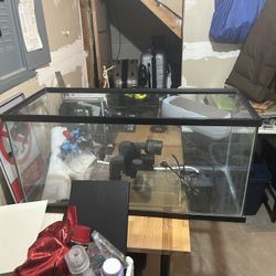 40 Gallon Fish Tank For Sale