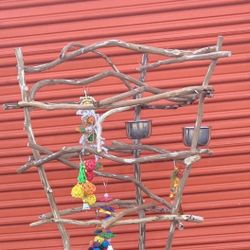 African Grey / Amazon parrot Perch Tree - Custom Made And A must Have For The Feathered One !! 