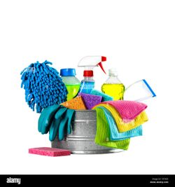Ramirez Cleaning