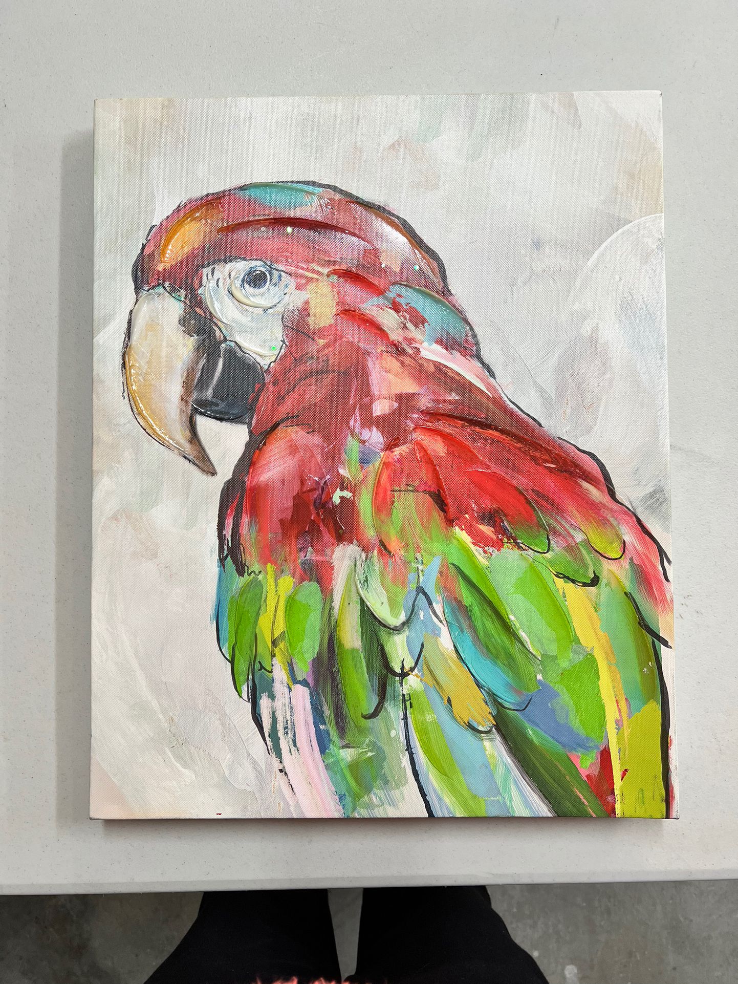 Parrot Art Canvas