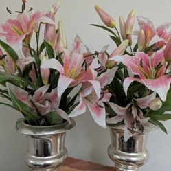 Tiger Lilly In Silver Pot
