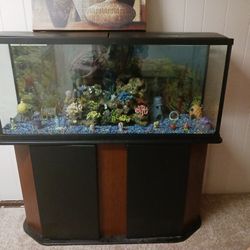 Fish Tank 55 